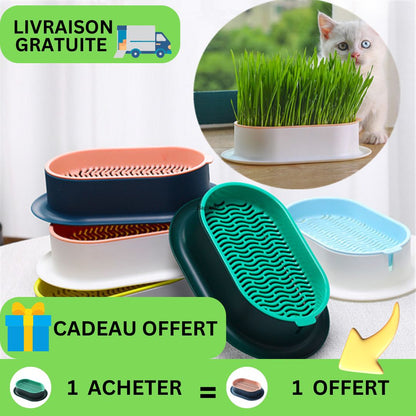 Bol d'herbe à chat en promotion