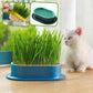 Bol d'herbe à chat hydroponique réutilisable